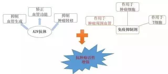 pd-1 抗血管靶向=更好地控制肿瘤?