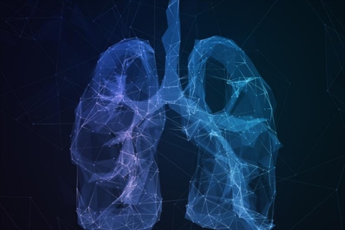 微型装置含有来自健康和哮喘肺部的细胞，可以模仿单细胞水平的肺部功能