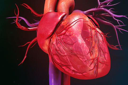 日本如何手术治疗心脏瓣膜病?日本手术治疗心脏瓣膜病的优势