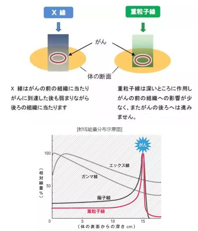 <a href='/japan/'>日本看病</a>