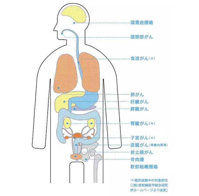 <a href='/japan/'>日本就医</a>