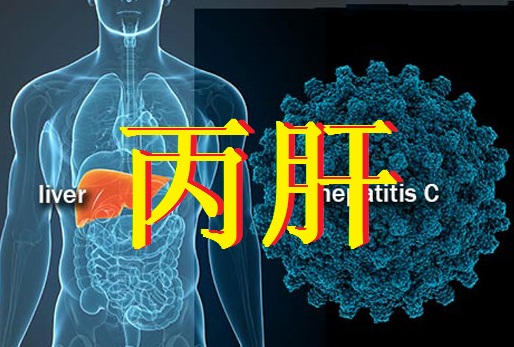 <a href='/'>海外医疗</a>,厚朴方舟