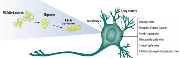 <a href='/'>出国看病</a>,<a href='/usa/'>美国就医</a>,厚朴方舟