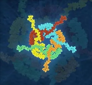 <a href='/'>海外医疗</a>,厚朴方舟