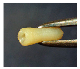 <a href='/'>出国看病</a>，<a href='/japan/'>日本就医</a>，厚朴方舟