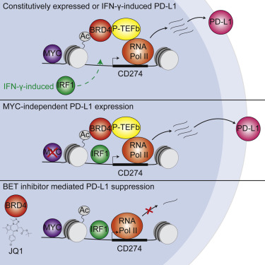<a  data-cke-saved-href='/' href='/'>出国看病</a>