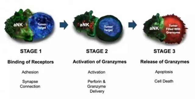 <a data-cke-saved-href='/' href='/'><a data-cke-saved-href='/' href='/'>出国看病</a></a>