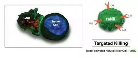 <a data-cke-saved-href='/' href='/'><a data-cke-saved-href='/' href='/'>出国看病</a></a>