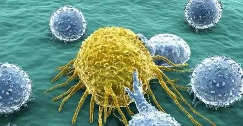 <a data-cke-saved-href='/' href='/'>海外医疗</a>