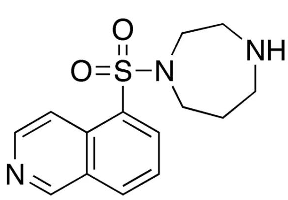 <a  data-cke-saved-href='/' href='/'>海外医疗</a>