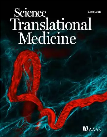 <a  data-cke-saved-href='/' href='/'>海外医疗</a>