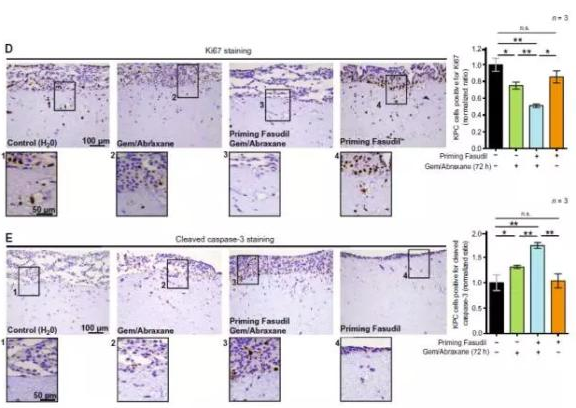 <a  data-cke-saved-href='/' href='/'>海外医疗</a>