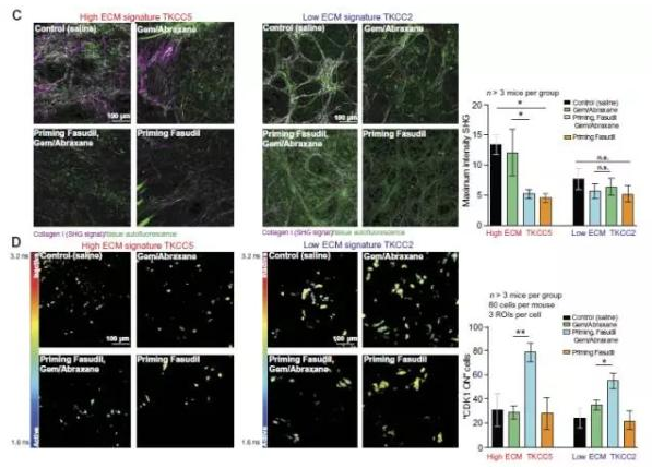 <a  data-cke-saved-href='/' href='/'>海外医疗</a>