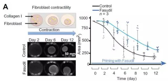 <a  data-cke-saved-href='/' href='/'>海外医疗</a>