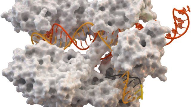 <a href='/'>出国看病</a>