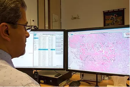 <a  data-cke-saved-href='/' href='/'>出国看病</a>