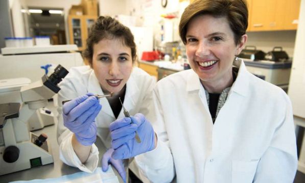 <a href='/'>海外医疗</a>