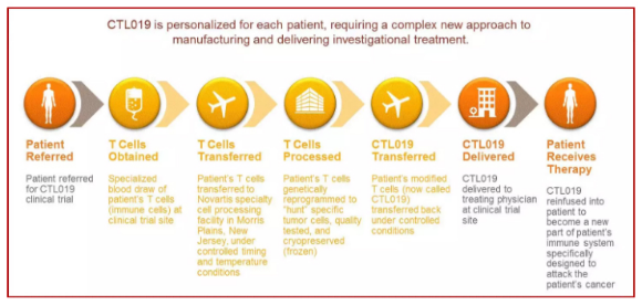 <a data-cke-saved-href='/' href='/'>海外医疗</a>