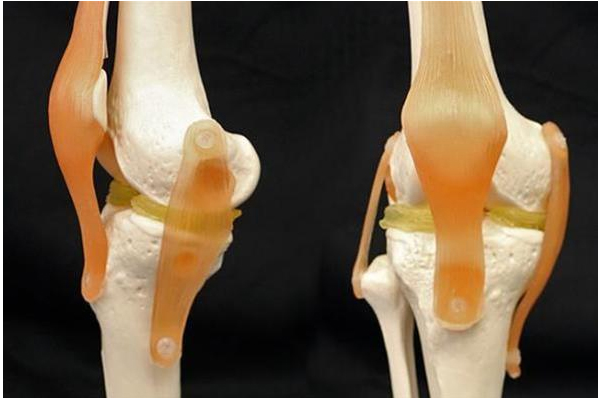 <a href='/'>出国看病</a>