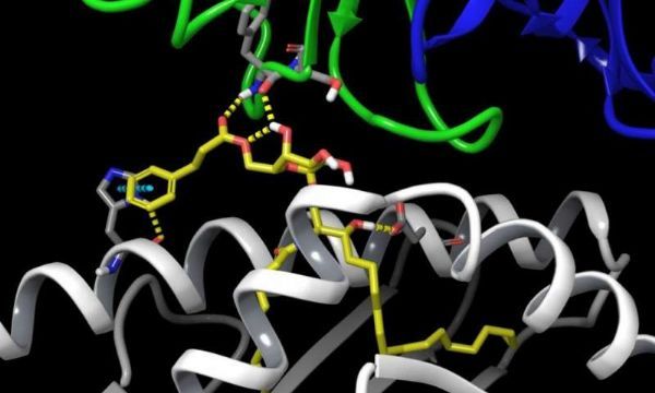 抗癌药,抗癌药品