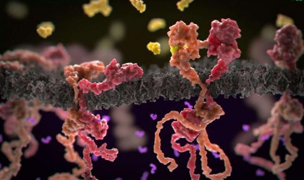 海外医疗,乳腺癌药物