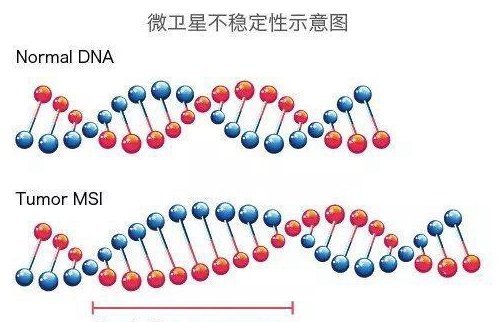 癌症可以遗传