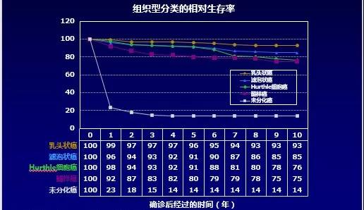 日本甲状腺癌专家