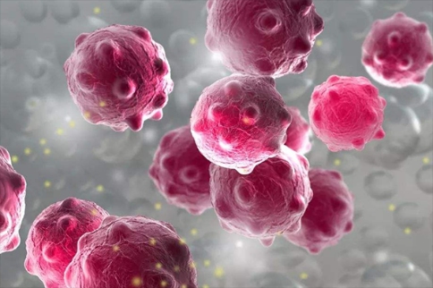 肿瘤细胞新靶点