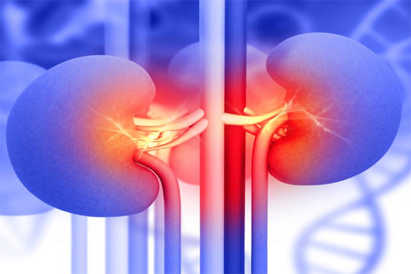 AM0010治疗肾癌的可靠数据