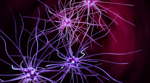 出国看病：研究发现内质网应激反应对于癫痫发作具有一定的影响！