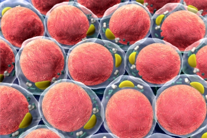 出国看病:美国研究发现一种可以靶向治疗髓母细胞瘤的新方法!