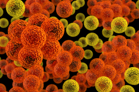 耐甲氧西林金黄葡萄球菌感染