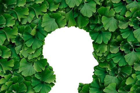 佩戴助听器可降低换痴呆症的风险