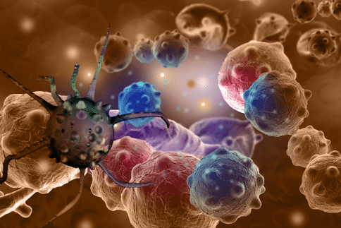 研究发现癌症转移与妊娠相似,或为转移癌症的治疗开发新方法!