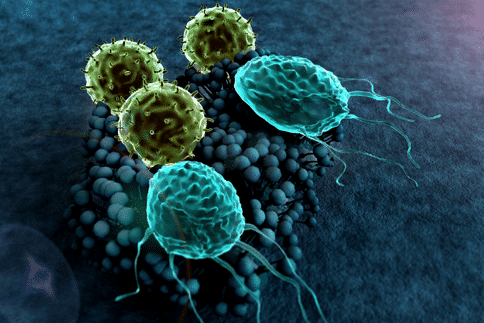 研究发现癌症转移与妊娠相似,或为转移癌症的治疗开发新方法!