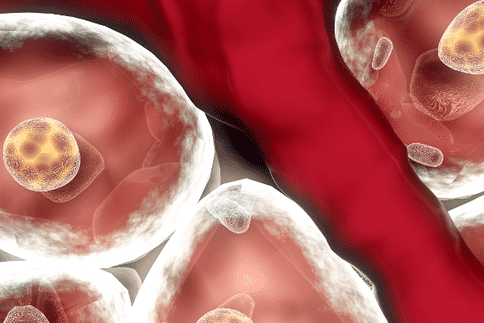 通过对螃蟹的研究，科学人员揭示了一种更广泛的寻找脑细胞的方法