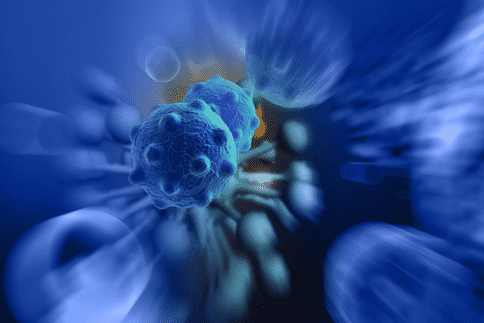 科学家发现肿瘤细胞中的B细胞如何促进良好的免疫治疗方法反应