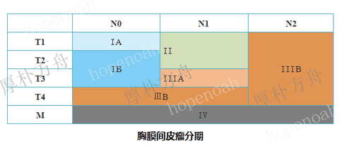 恶性胸膜间皮瘤分期