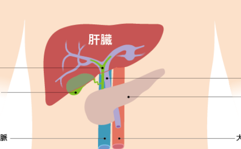 日本肝癌治疗医院