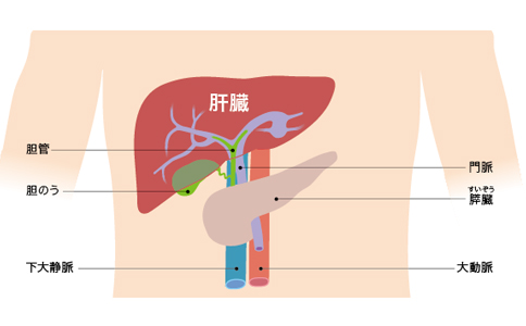 日本肝癌治疗水平