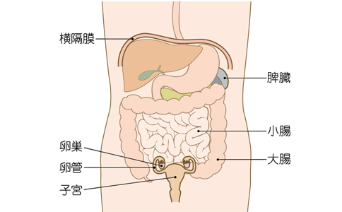 日本治疗卵巢癌医院