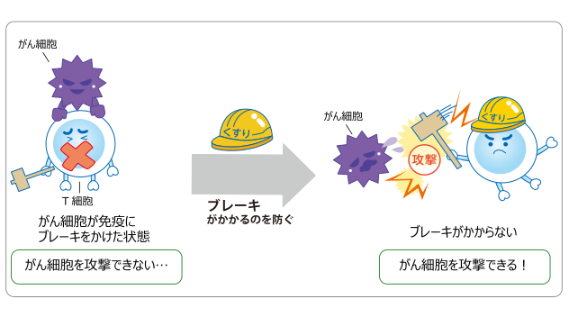 免疫检查点抑制剂作用原理