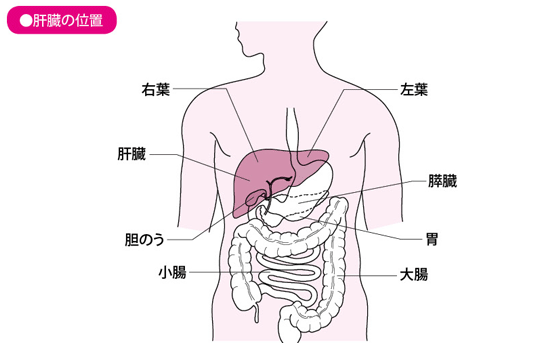 肝癌治疗